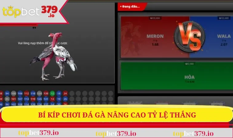 Bí kíp chơi đá gà nâng cao tỷ lệ thắng