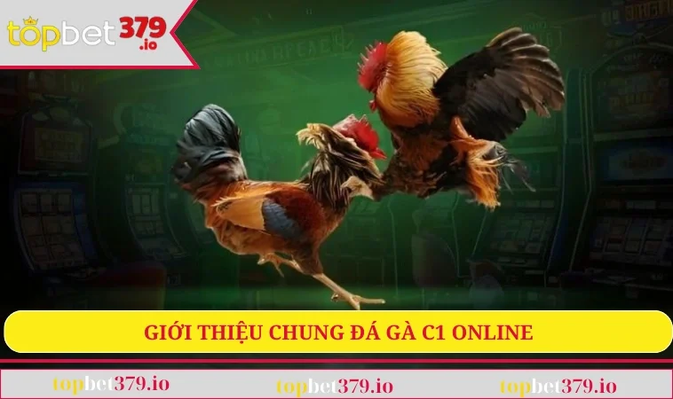 Giới thiệu chung đá gà C1 online