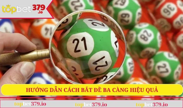 Hướng dẫn cách bắt đề ba càng hiệu quả