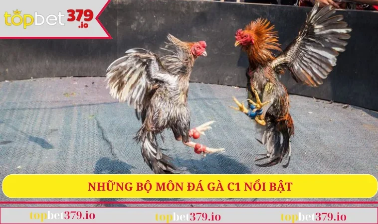 Những bộ môn đá gà nổi bật